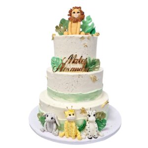 Tort Jungle Friends