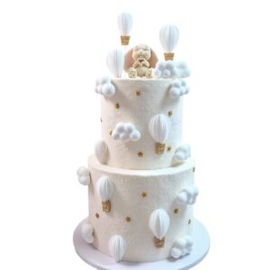 Tort Hot Air Balloon